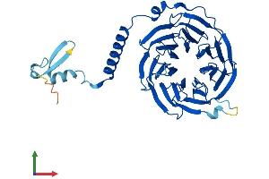 AlphaFold protein structure predicition of Human Recombinant GNB5 Protein, UniprotID O14775
