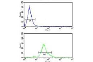 ACP1 antibody flow cytometry analysis of human HeLa cells (bottom histogram) compared to a negative control (top histogram).