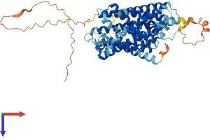AlphaFold protein structure predicition of Human Recombinant SLC38A3 Protein, UniprotID Q99624