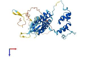 AlphaFold protein structure predicition of Human Recombinant FBXO25 Protein, UniprotID Q8TCJ0