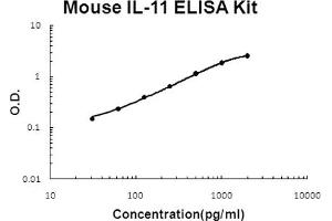 Mouse IL-11 Accusignal ELISA Kit Mouse IL-11 AccuSignal ELISA Kit standard curve. (IL-11 Kit ELISA)