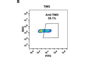 Flow Cytometry (FACS) image for anti-Hepatitis A Virus Cellular Receptor 2 (TIM 3) (AA 22-202) antibody (ABIN7092882)