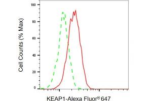Flow cytometric analysis of KEAP1 expression in HAP-1 cells using KEAP1 antibody ( (ABIN7799161), 1:2,000). (KEAP1 anticorps)