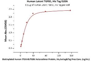 Immobilized Human Latent TGFB1, His Tag (ABIN4949126,ABIN4949127) at 5 μg/mL (100 μL/well) can bind Biotinylated Human ITGAV&ITGB6 Heterodimer Protein, His,Avitag&Tag Free (ABIN5674599,ABIN6253672) with a linear range of 1-20 ng/mL (QC tested). (TGFB1 Protein (AA 30-390) (His tag))
