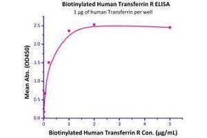 Immobilized Human Transferrin, His Tag (Cat# TRN-H4229) at 10 μg/mL (100 µL/well),can bind Biotinylated Human Transferrin R (Cat# TFR-H8243) with a linear range of 2-200 ng/mL.