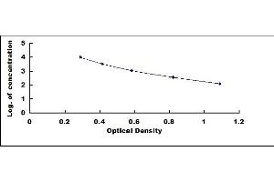 Luteinizing Hormone beta Polypeptide (LHB) ELISA Kit