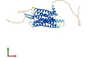 AlphaFold protein structure predicition of Human Recombinant GRPR Protein, UniprotID P30550