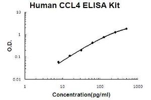 Human CCL4/MIP-1 beta PicoKine ELISA Kit standard curve