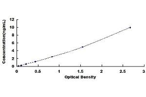 Keratin 81 (KRT81) ELISA Kit