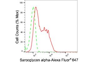 Flow cytometric analysis of Sarcoglycan alpha expression in C2C12 cells using Sarcoglycan alpha antibody (ABIN7800271), 1:2,000).