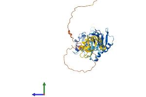AlphaFold protein structure predicition of Human Recombinant SSB Protein, UniprotID P05455