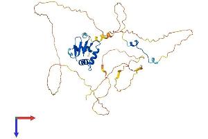 AlphaFold protein structure predicition of Mouse Recombinant Elk3 Protein, UniprotID P41971
