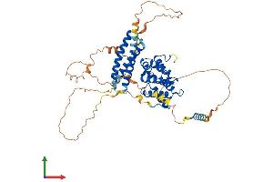 AlphaFold protein structure predicition of Mouse Recombinant Tom1l2 Protein, UniprotID Q5SRX1