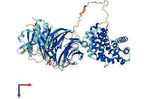 AlphaFold protein structure predicition of Human Recombinant PLAA Protein, UniprotID Q9Y263
