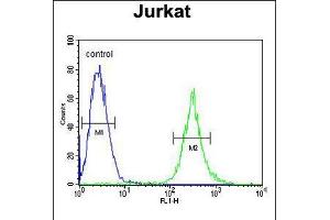 Flow cytometric analysis of Jurkat cells (right histogram) compared to a negative control cell (left histogram). (APITD1 anticorps  (AA 48-74))