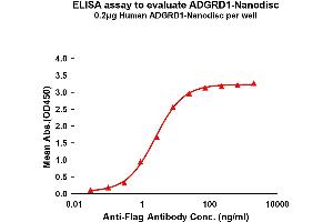 Elisa plates were pre-coated with Flag Tag AD-Nanodisc (0.