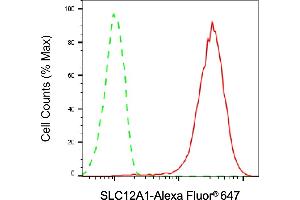 Flow cytometric analysis of SLC12A1 expression in HepG2 cells using SLC12A1 antibody (ABIN7800386), 1:2,000).