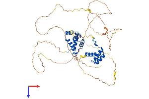 AlphaFold protein structure predicition of Mouse Recombinant Onecut1 Protein, UniprotID O08755