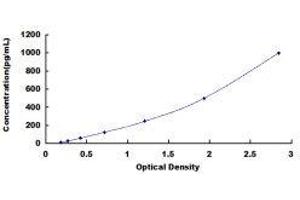 ELISA image for Nerve Growth Factor (NGF) ELISA Kit (ABIN415322)