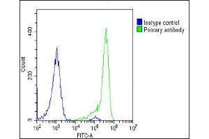 Overlay histogram showing U-2 OS cells stained with (ABIN6243315 and ABIN6578853)(green line).