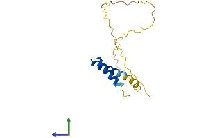 AlphaFold protein structure predicition of Human Recombinant TXLNGY Protein, UniprotID Q9BZA5