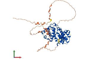 AlphaFold protein structure predicition of Mouse Recombinant Ccna2 Protein, UniprotID P51943