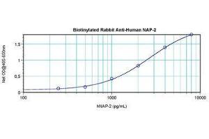 Image no. 1 for anti-Pro-Platelet Basic Protein (Chemokine (C-X-C Motif) Ligand 7) (PPBP) antibody (Biotin) (ABIN465449) (CXCL7 anticorps  (Biotin))