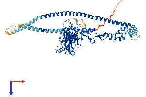 AlphaFold protein structure predicition of Human Recombinant TRAF3 Protein, UniprotID Q13114
