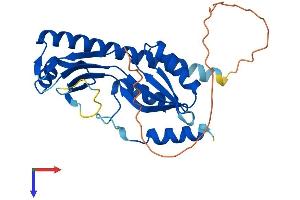 AlphaFold protein structure predicition of Human Recombinant TYW3 Protein, UniprotID Q6IPR3