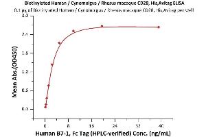 Immobilized Biotinylated Human / Cynomolgus / Rhesus macaque CD28, His,Avitag (ABIN6972981) at 1 μg/mL (100 μL/well) on Streptavidin  precoated (0.