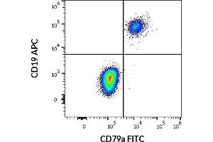 Flow cytometry multicolor surface staining pattern of human lymphocytes using anti-human CD19 (LT19) APC antibody (10 μL reagent / 100 μL of peripheral whole blood) and intracellular staining of human lymphocytes using anti-human CD79a (HM57) FITC antibody (4 μL reagent / 100 μL of peripheral whole blood).