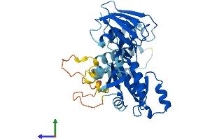AlphaFold protein structure predicition of Human Recombinant DRG2 Protein, UniprotID P55039