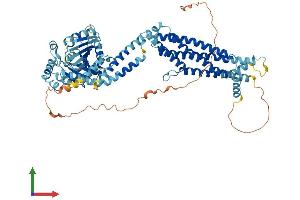AlphaFold protein structure predicition of Human Recombinant MX2 Protein, UniprotID P20592