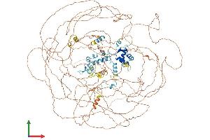 AlphaFold protein structure predicition of Mouse Recombinant Asxl1 Protein, UniprotID P59598