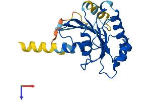 AlphaFold protein structure predicition of Mouse Recombinant Sar1b Protein, UniprotID Q9CQC9