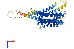 AlphaFold protein structure predicition of Human Recombinant SLC39A9 Protein, UniprotID Q9NUM3