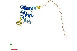 AlphaFold protein structure predicition of Mouse Recombinant Ankrd37 Protein, UniprotID Q569N2