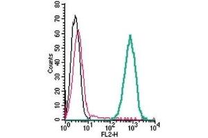 Cell surface detection of xCT/SLC7A11 in live intact mouse J774 macrophage cells: (black line) Cells.