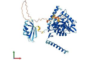 AlphaFold protein structure predicition of Mouse Recombinant Tph2 Protein, UniprotID Q8CGV2