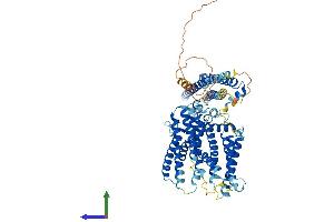 AlphaFold protein structure predicition of Human Recombinant XPR1 Protein, UniprotID Q9UBH6