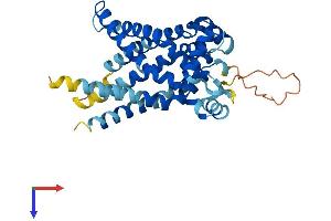 AlphaFold protein structure predicition of Human Recombinant SLC25A33 Protein, UniprotID Q9BSK2