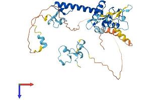 AlphaFold protein structure predicition of Human Recombinant MKRN2 Protein, UniprotID Q9H000