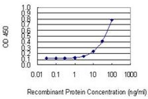 Detection limit for recombinant GST tagged NUDT13 is 1 ng/ml as a capture antibody.