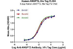 Immobilized Human ANGPT2, His Tag at 2 μg/mL (100 μL/well).