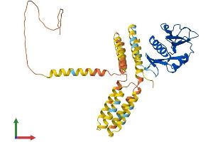 AlphaFold protein structure predicition of Human Recombinant CLEC4M Protein, UniprotID Q9H2X3