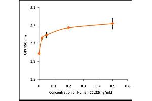 Activity Assay (AcA) image for Chemokine (C-C Motif) Ligand 22 (CCL22) (Active) protein (ABIN5509429) (CCL22 Protéine)