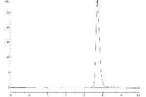 The purity of Mouse TIGIT is greater than 95 % as determined by SEC-HPLC.