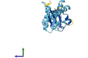 AlphaFold protein structure predicition of Human Recombinant GEMIN6 Protein, UniprotID Q8WXD5
