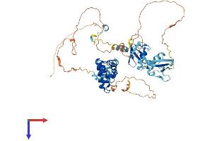 AlphaFold protein structure predicition of Human Recombinant RGS14 Protein, UniprotID O43566