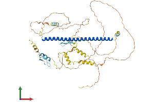 AlphaFold protein structure predicition of Human Recombinant ATF2 Protein, UniprotID P15336